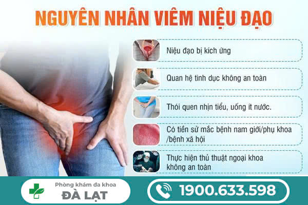 Hình ảnh minh họa