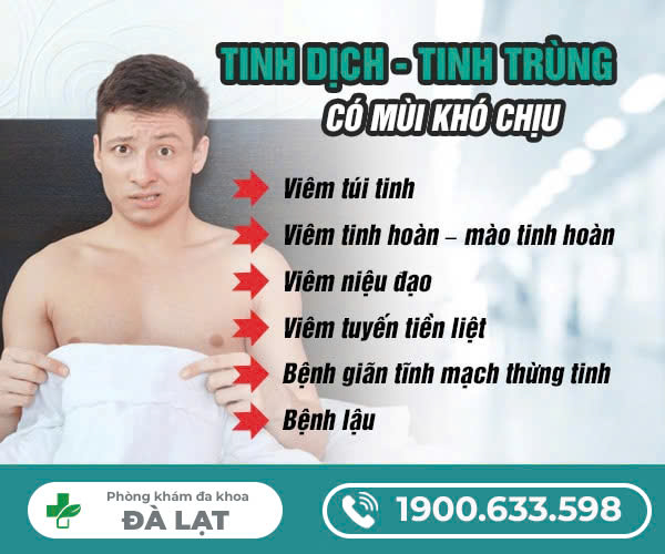 Hình ảnh minh họa