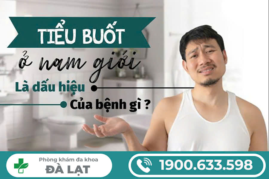 Hình ảnh minh họa