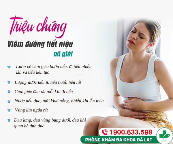 Hình ảnh minh họa