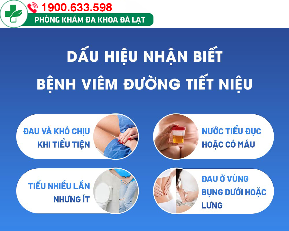 Hình ảnh minh họa