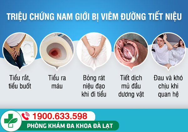 Hình ảnh minh họa