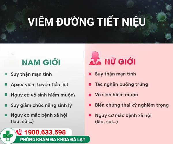 Hình ảnh minh họa