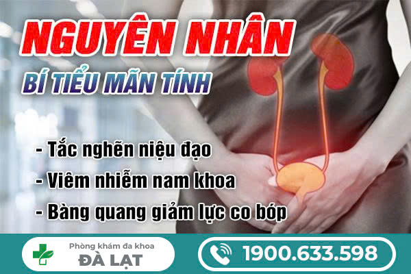 Hình ảnh minh họa