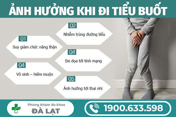 Hình ảnh minh họa
