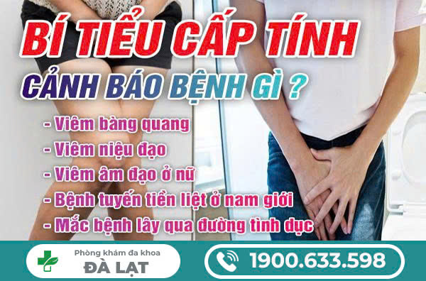 Hình ảnh minh họa