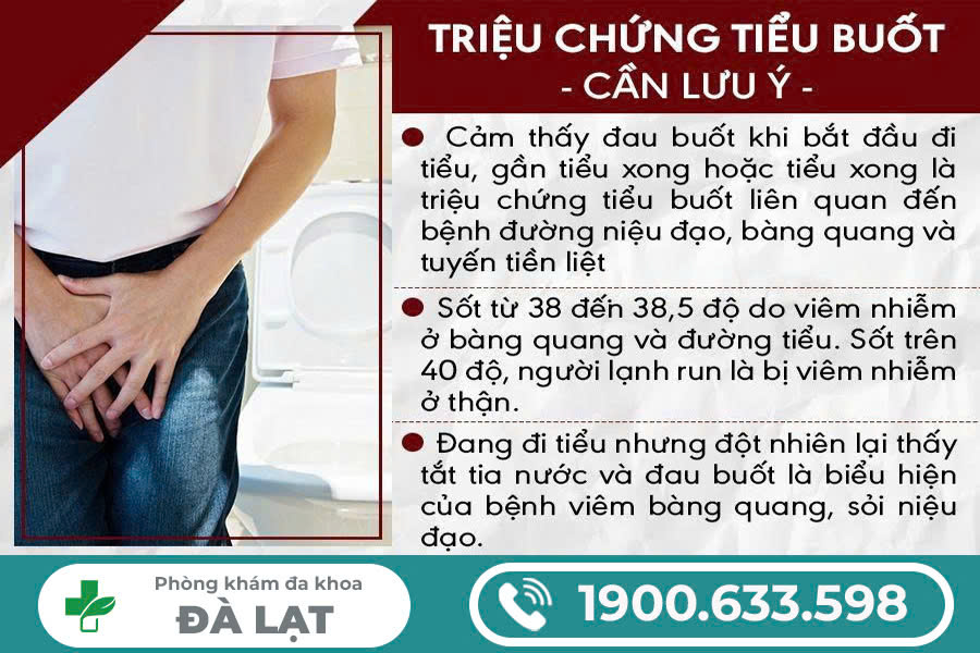 Hình ảnh minh họa
