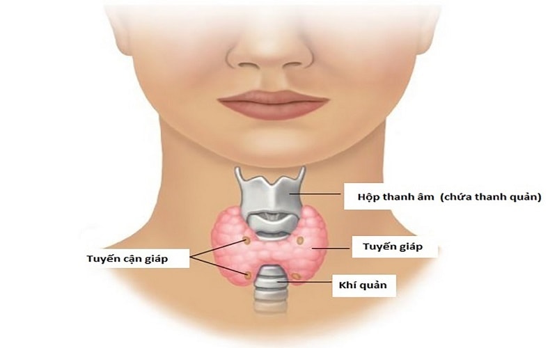 sieu-am-co-hong